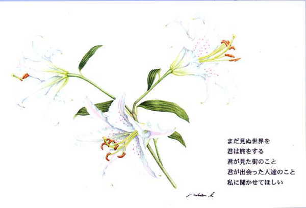 �|�X�g�J�[�h�`5